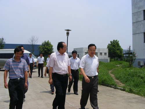 市領導一行視察我司